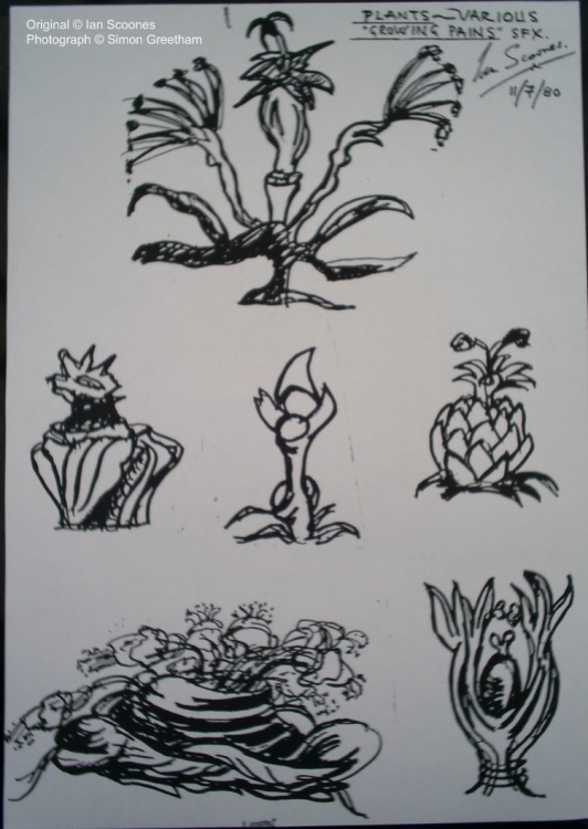 Drawing Of Plants