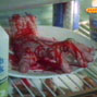 Hand in Fridge