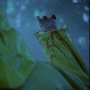 severed hand