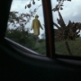 man in yellow raincoat