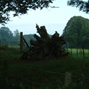 tree stump in two faces of evil